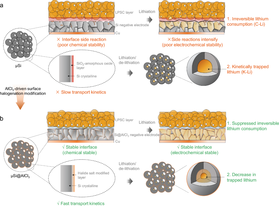全固态锂电：卤化工程提升硅负极可逆性详解