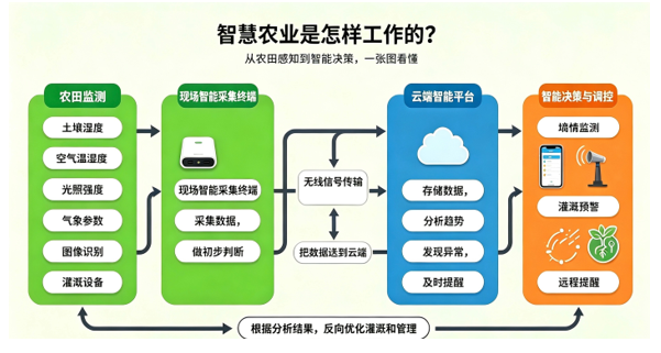 智慧农业数据流转示意图:从农田感知到智能决策 (注:图片由AI生成)